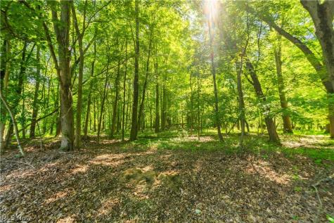 4847 Manchester Road New Franklin OH 44319