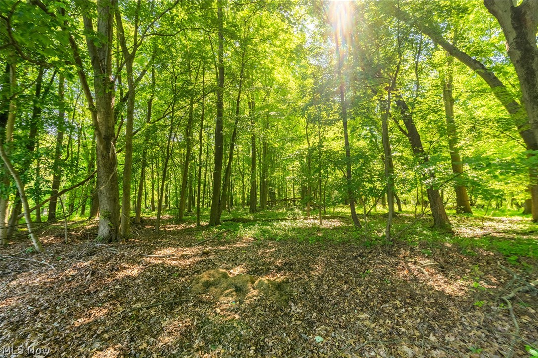 4847 Manchester Road New Franklin OH 44319