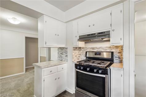 8223 Manorford Drive Cleveland OH 44129