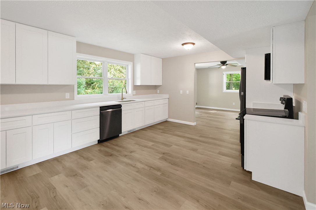 231 Ruth Street Geneva OH 44041