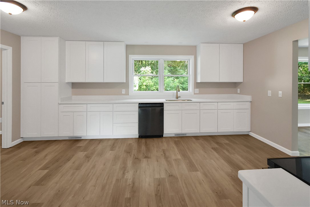 231 Ruth Street Geneva OH 44041