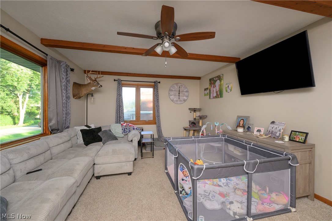 2984 Seikel Drive NE Dover OH 44622