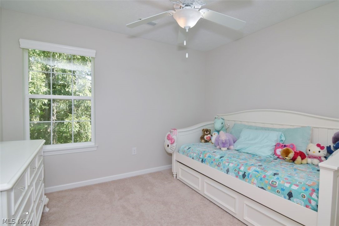 10442 Florida Street Reminderville OH 44202