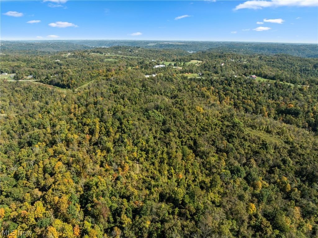 61930 Webb Heights Road Shadyside OH 43947