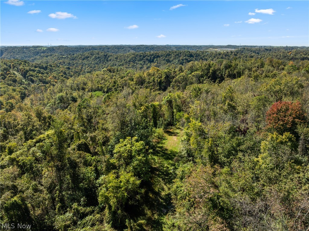 61930 Webb Heights Road Shadyside OH 43947