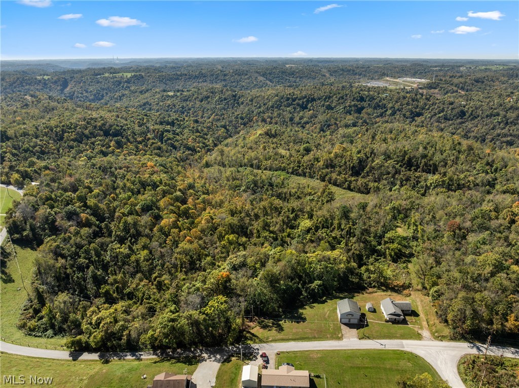 61930 Webb Heights Road Shadyside OH 43947