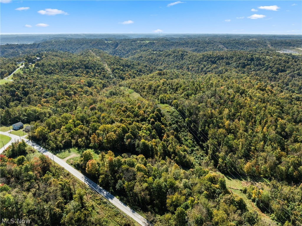 61930 Webb Heights Road Shadyside OH 43947