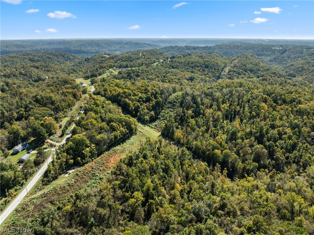 61930 Webb Heights Road Shadyside OH 43947