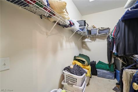 1096 Venice Court Macedonia OH 44056