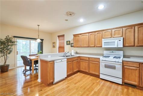 1096 Venice Court Macedonia OH 44056