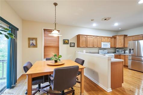 1096 Venice Court Macedonia OH 44056