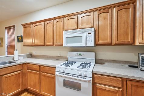 1096 Venice Court Macedonia OH 44056