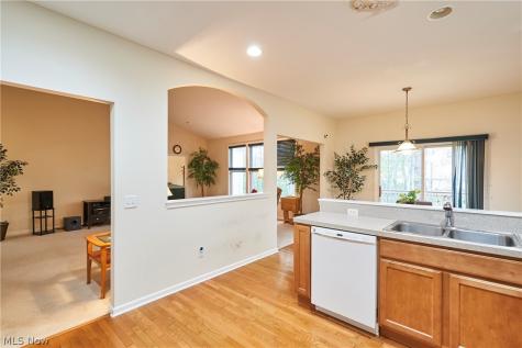 1096 Venice Court Macedonia OH 44056