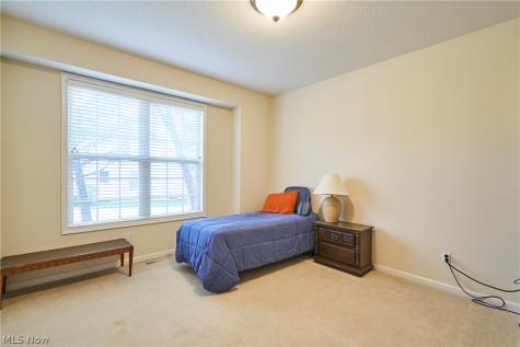 1096 Venice Court Macedonia OH 44056
