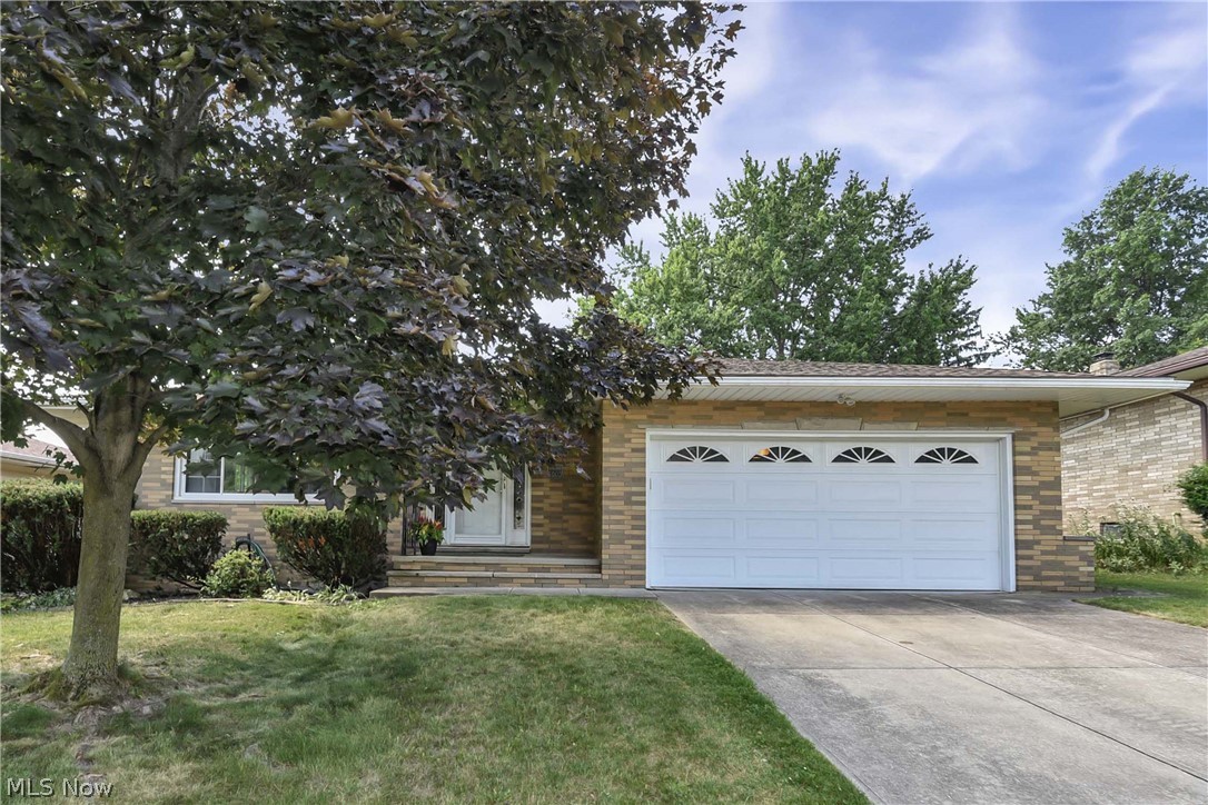 6003 Laurent Drive Parma OH 44129