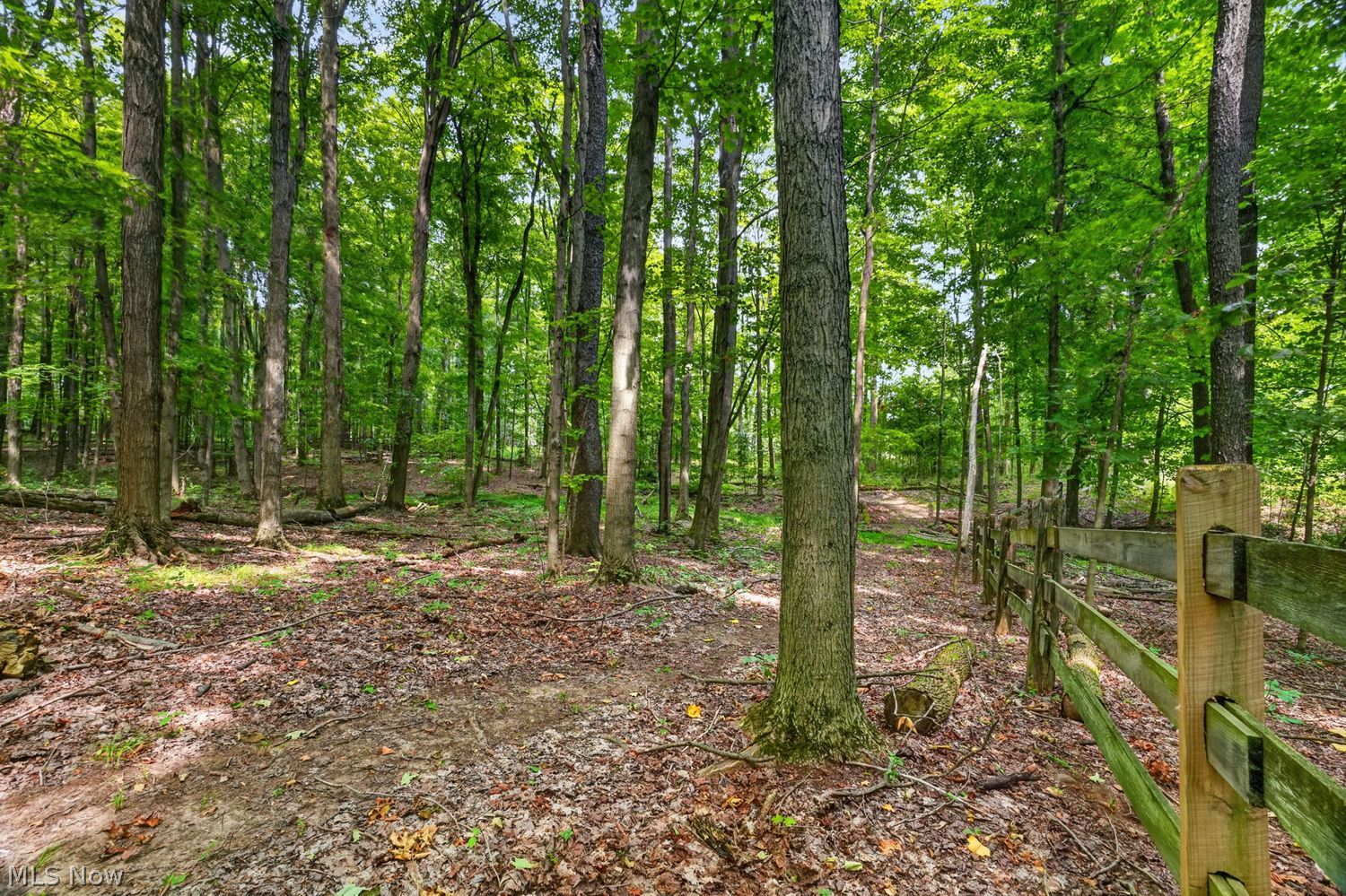 12070 Fowlers Mill Road Chardon OH 44024