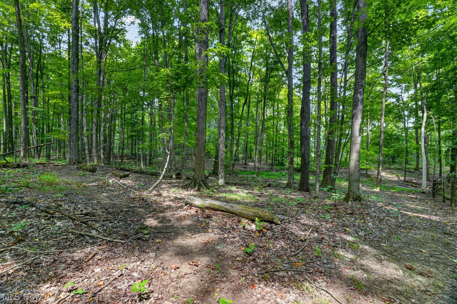 12070 Fowlers Mill Road Chardon OH 44024
