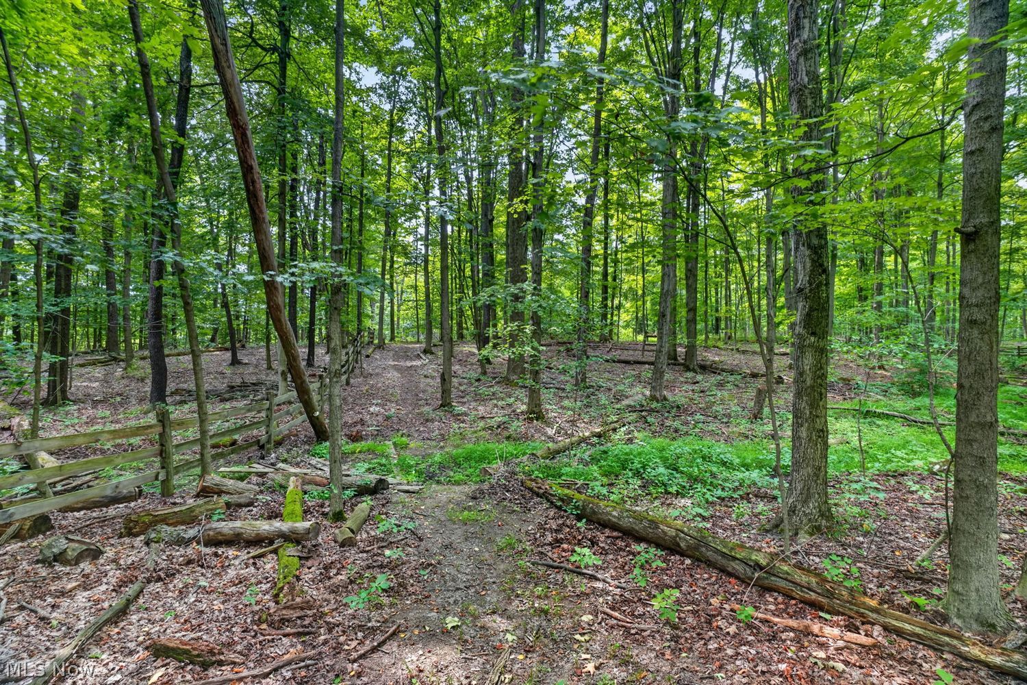 12070 Fowlers Mill Road Chardon OH 44024