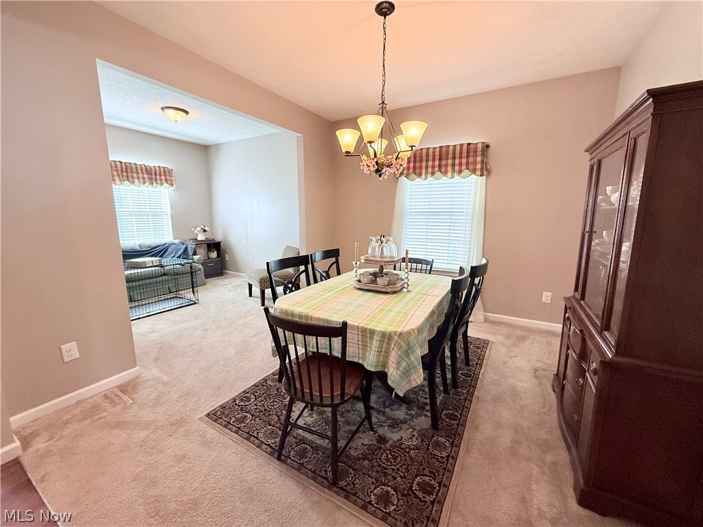 3224 Fallen Brook Lane Brunswick OH 44212