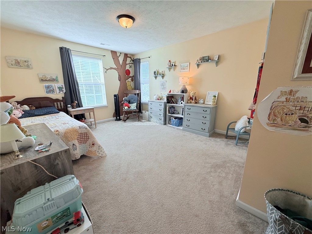 3224 Fallen Brook Lane Brunswick OH 44212