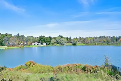 14794 Briarwood Road Newbury OH 44065