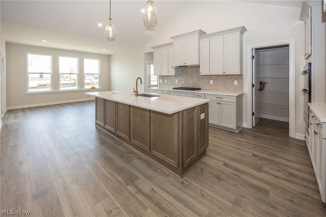 3727 Overlook Court Fairlawn OH 44333