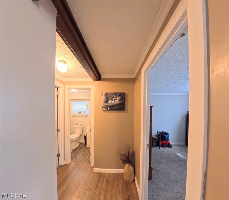 42153 Ash Street Reedsville OH 45772