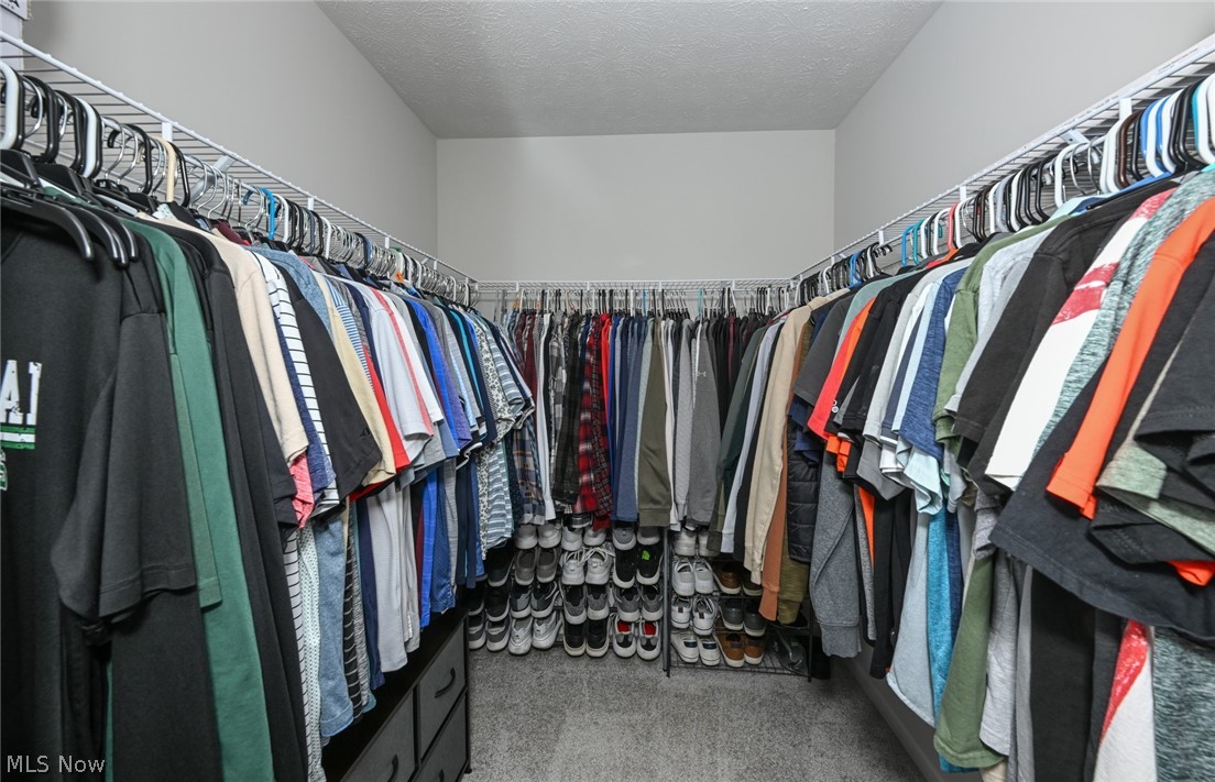 3687 Kirkham Drive Norton OH 44203