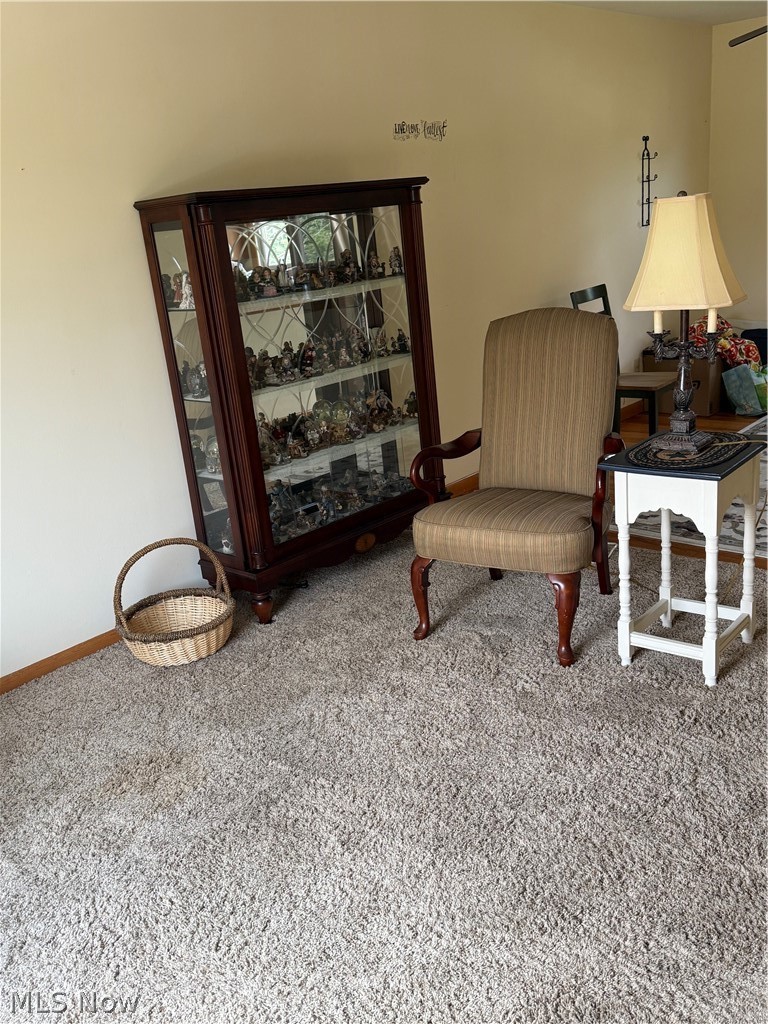 3415 Rebecca Drive Canfield OH 44406