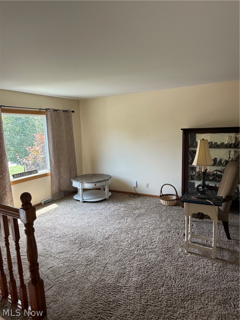 3415 Rebecca Drive Canfield OH 44406