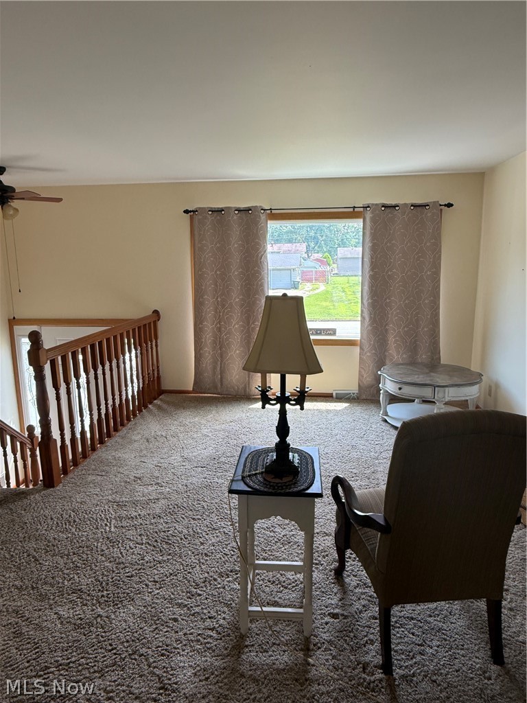 3415 Rebecca Drive Canfield OH 44406