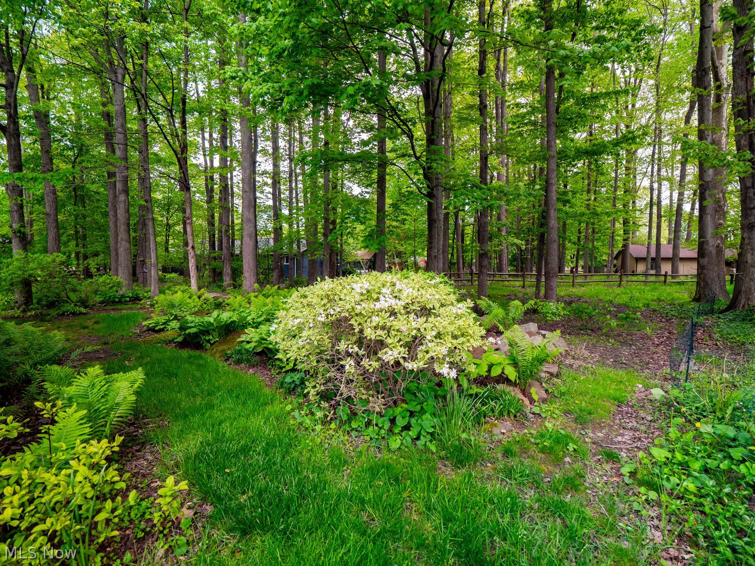 5875 Hawthorne Hollow Drive North Ridgeville OH 44039
