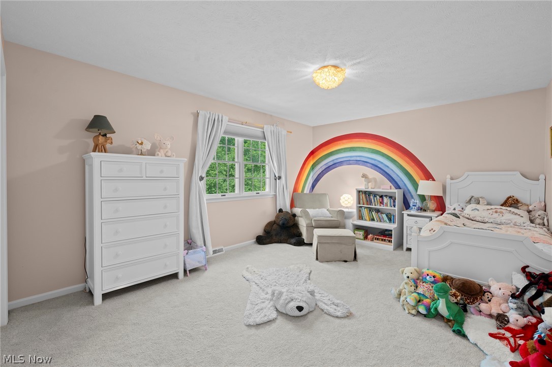 20 Solether Lane Chagrin Falls OH 44022