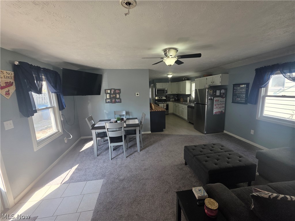 908 Bellevue Drive Willoughby OH 44094