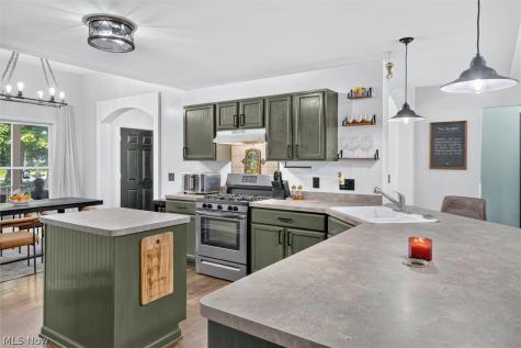 41668 Birchwood Street Elyria OH 44035