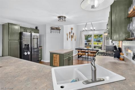 41668 Birchwood Street Elyria OH 44035