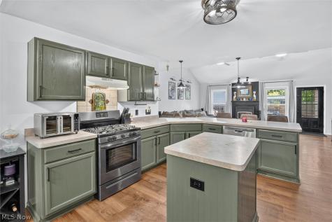 41668 Birchwood Street Elyria OH 44035