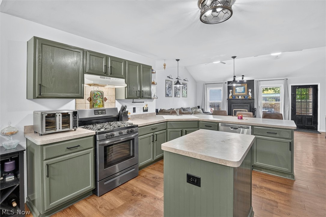 41668 Birchwood Street Elyria OH 44035