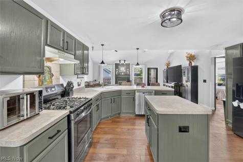 41668 Birchwood Street Elyria OH 44035