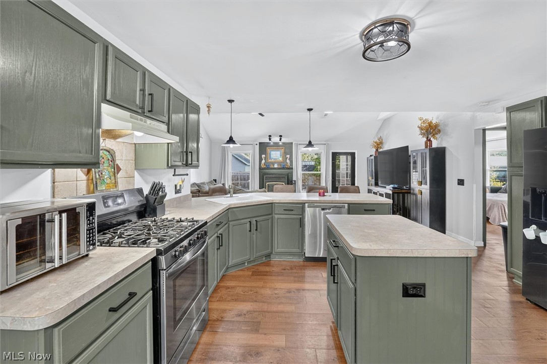 41668 Birchwood Street Elyria OH 44035