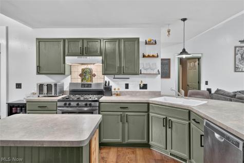 41668 Birchwood Street Elyria OH 44035