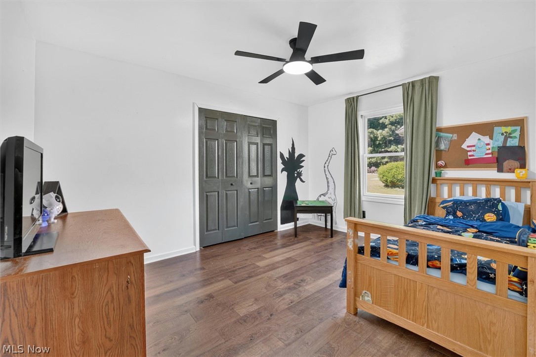 41668 Birchwood Street Elyria OH 44035