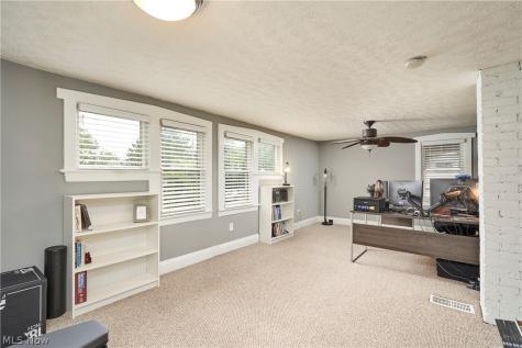 1438 Newman Avenue Lakewood OH 44107