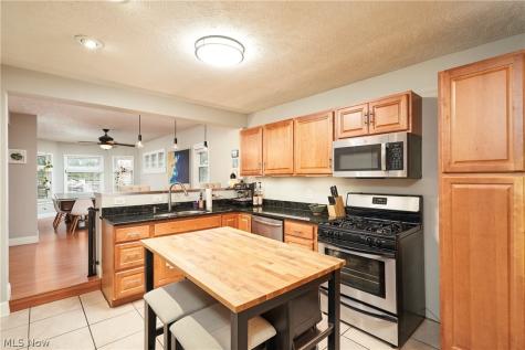 1438 Newman Avenue Lakewood OH 44107