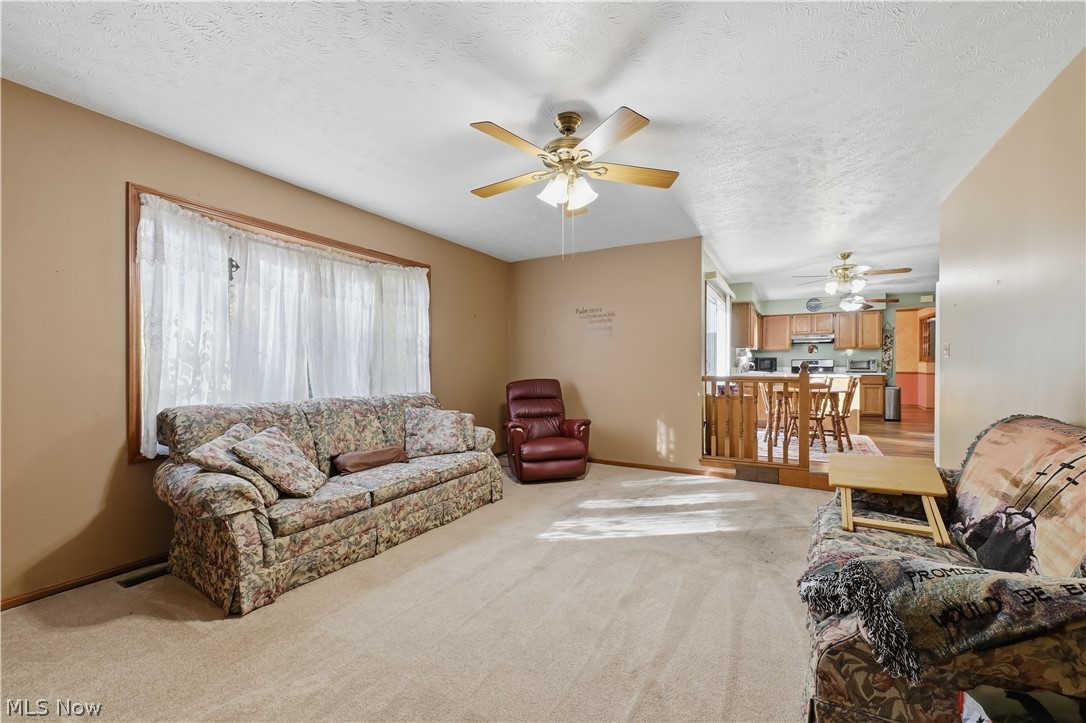 9881 Beechwood Drive North Royalton OH 44133