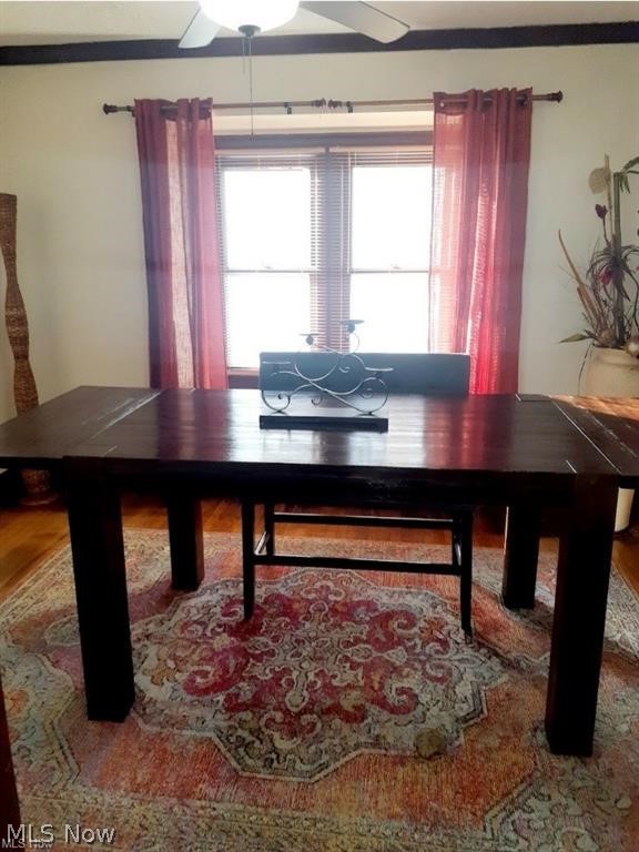 1512 Middle Avenue Elyria OH 44035