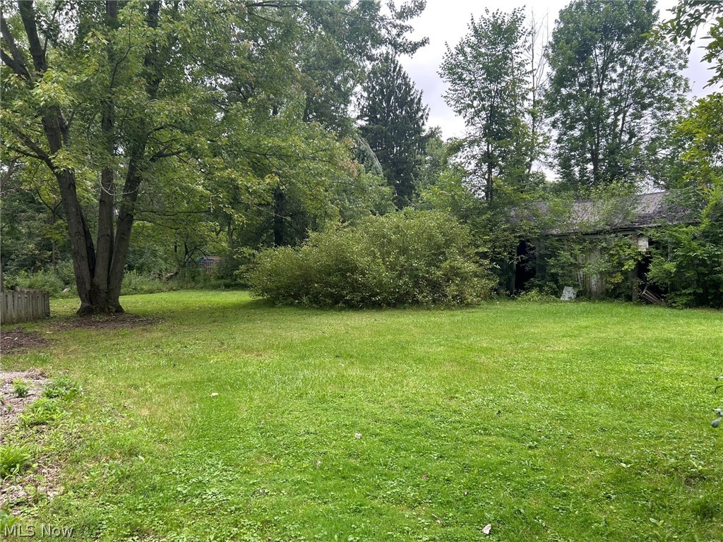 11038 White Avenue Elyria OH 44035