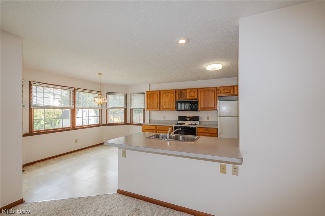 3233 Bramblewood Way Avon OH 44011