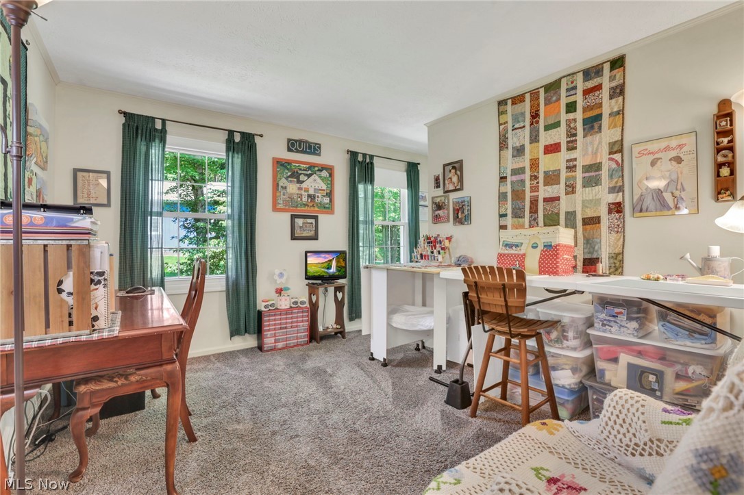 557 Hillsdale Drive Coshocton OH 43812