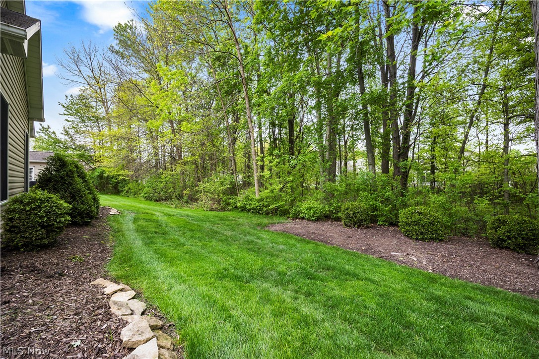 33888 Maple Ridge Boulevard Avon OH 44011